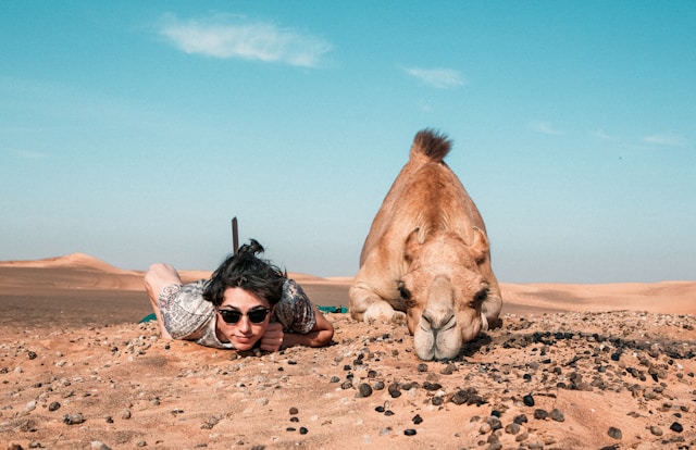 man-camel-img